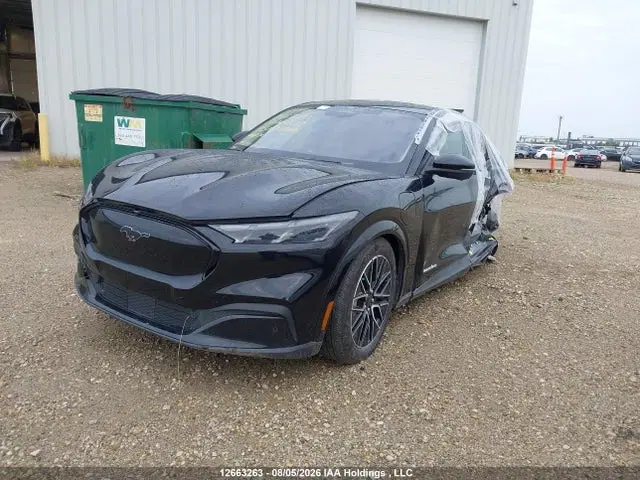 2025 Ford Mustang Mach-e Premium VIN 3FMTK3SU7SMA14689 фото 2