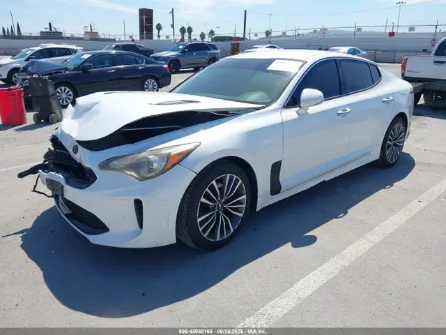2019 KIA Stinger VIN KNAE15LA7K6049536 фото 2