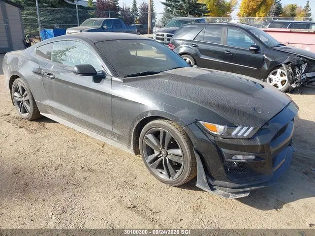 1FA6P8AM0G5313915 — 2016 Ford Mustang, Вандализм (Vandalized), фото до ремонта