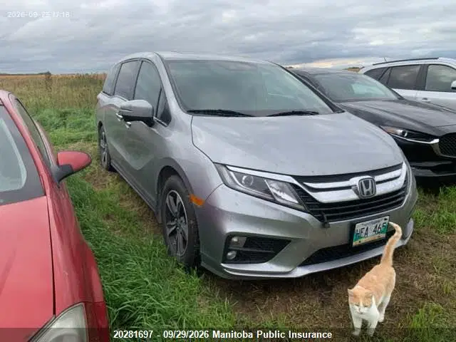 5FNRL6H47KB505711 — 2019 Honda Odyssey EX, Град, фото до ремонта