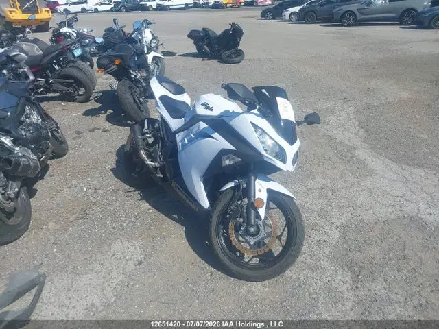 JKAEX8B15EA006104 — 2014 Kawasaki EX300 B, Left Side, фото до ремонта