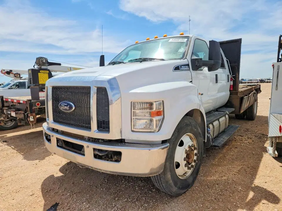 1FDNW6DC4KDF07423 — 2019 Ford F650, Мелкие вмятины и царапины, фото до ремонта