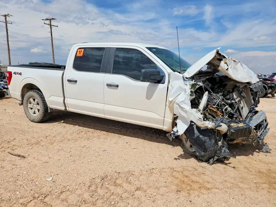 2023 FORD F150 VIN 1FTFW1E52PKD62767 фото 3