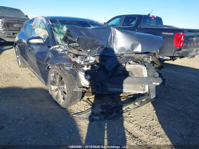 KMHTG6AF3KU020121 — 2019 Hyundai Veloster 2.0 GL, Bio Hazard, фото до ремонта