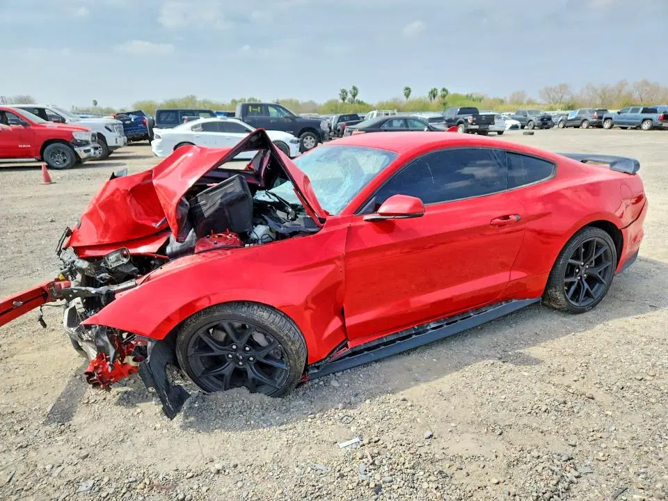 1FA6P8CFXM5150295 — 2021 Ford Mustang, Передняя часть, фото до ремонта