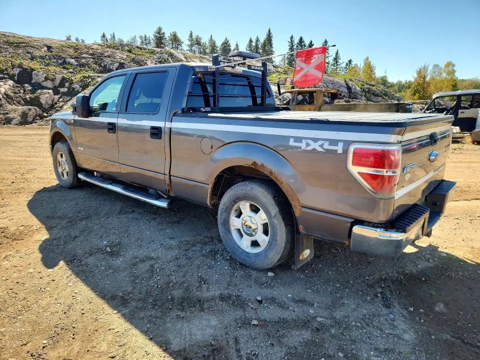 2014 FORD F150 VIN 1FTFW1ET1EFA33613 фото 2