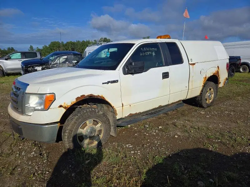 1FTFX1EFXCFB75771 — 2012 Ford F150, Задняя часть (Rear End), фото до ремонта