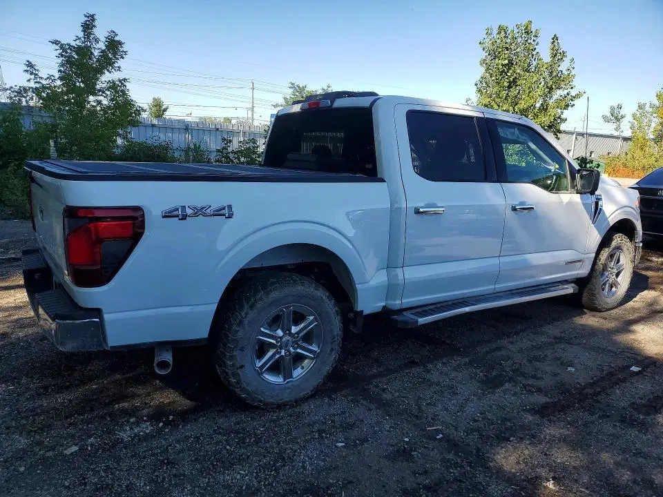 2024 FORD F150 VIN 1FTFW3LD5RFA45504 фото 3