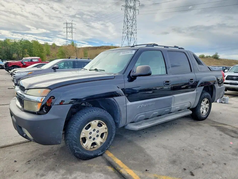 3GNEK12Z05G240838 — 2005 Chevrolet Avalanche, Град (Hail), фото до ремонта