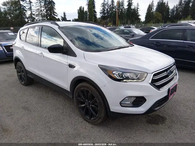 1FMCU9GD7KUC06051 — 2019 Ford Escape SE, Естественный износ (Normal Wear & Tear), фото до ремонта
