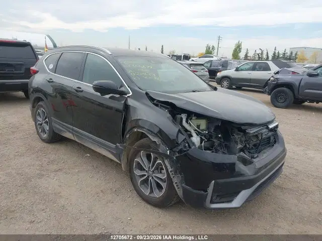 2HKRW2H81LH201179 — 2020 Honda CR-V EX-L, Передняя часть (Front), фото до ремонта