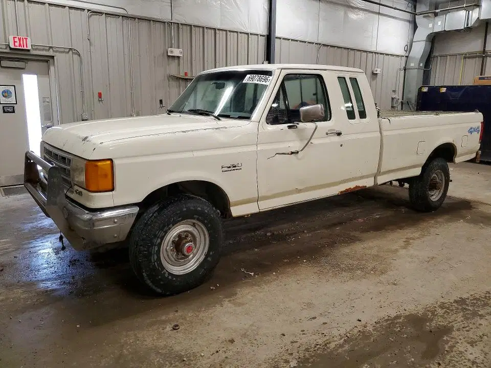 1FTHX26G0MKA34271 — 1991 Ford F250, Задняя часть (Rear End), фото до ремонта