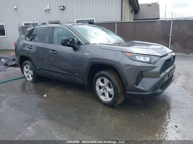 2T3BWRFV3KW024368 — 2019 Toyota RAV4 LE, Задняя часть (Rear), фото до ремонта
