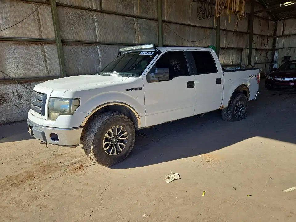 1FTPW14V09FB37975 — 2009 Ford F150, Мелкие вмятины и царапины (Minor Dent/Scratches), фото до ремонта