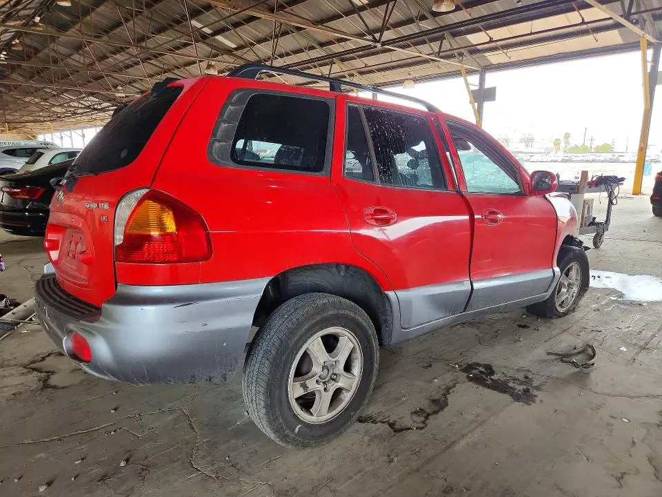 2004 HYUNDAI SANTA FE VIN KM8SC13D94U855164 фото 3