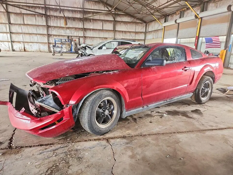 1ZVFT80N955152197 — 2005 Ford Mustang, Передняя часть (Front End), фото до ремонта