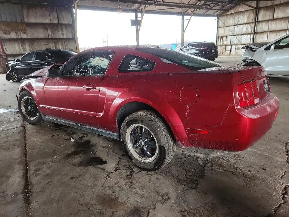 2005 FORD MUSTANG VIN 1ZVFT80N955152197 фото 2