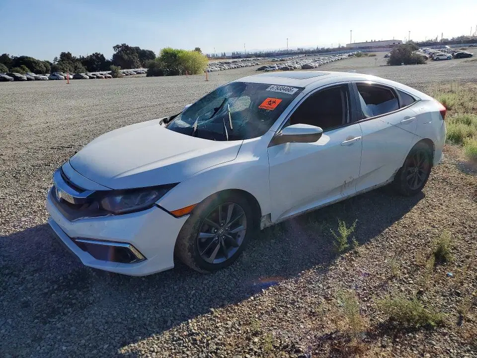 19XFC1F33LE214131 — 2020 Honda Civic, Передняя часть (Front End), фото до ремонта