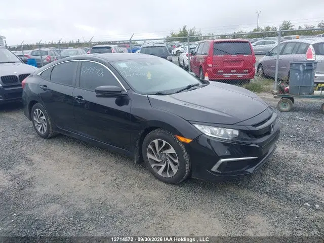 2HGFC2F75KH012260 — 2019 Honda Civic Sedan, Задняя часть (Rear), фото до ремонта