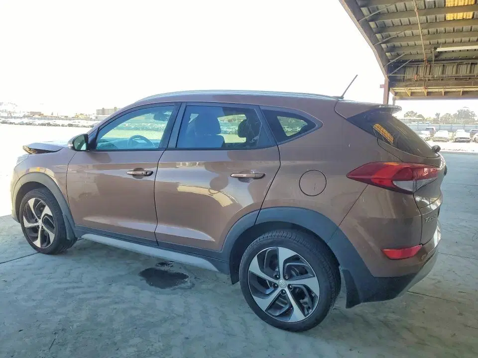 2017 Hyundai Tucson VIN KM8J3CA29HU390920 фото 2
