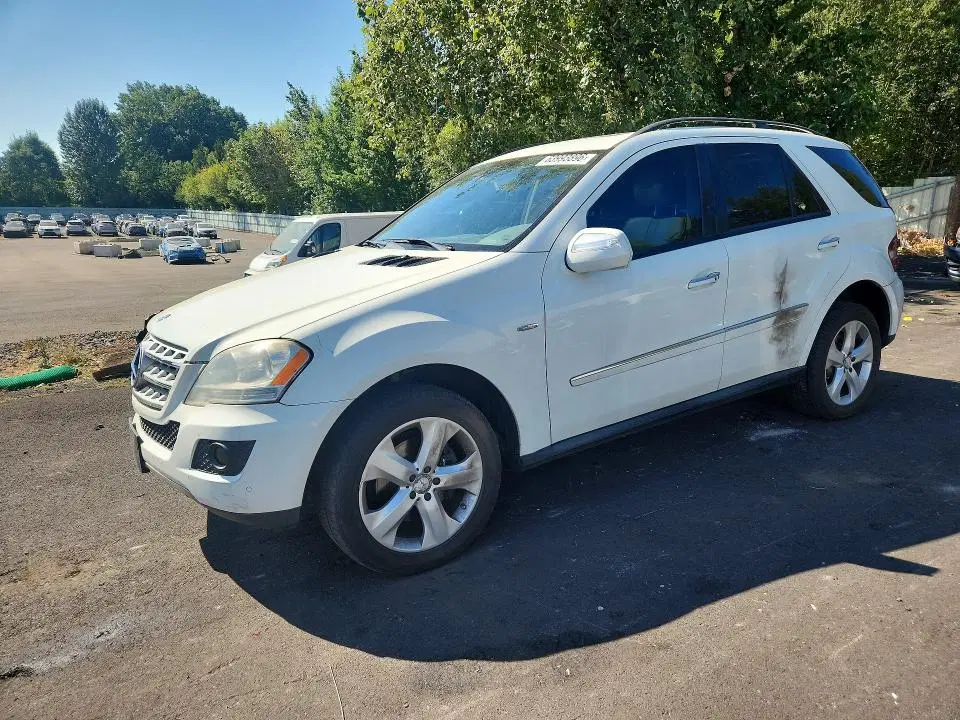 4JGBB25E19A498988 — 2009 Mercedes-Benz ML, Задняя часть (Rear End), фото до ремонта