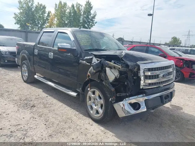 1FTFW1EF3EFA64095 — 2014 Ford F150 Supercrew, Передняя часть (Front), фото до ремонта