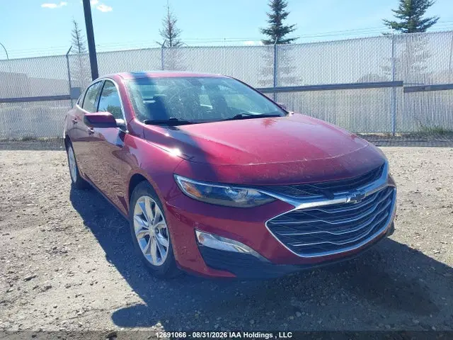 1G1ZD5STXKF217029 — 2019 Chevrolet Malibu LT, Задняя часть (Rear), фото до ремонта