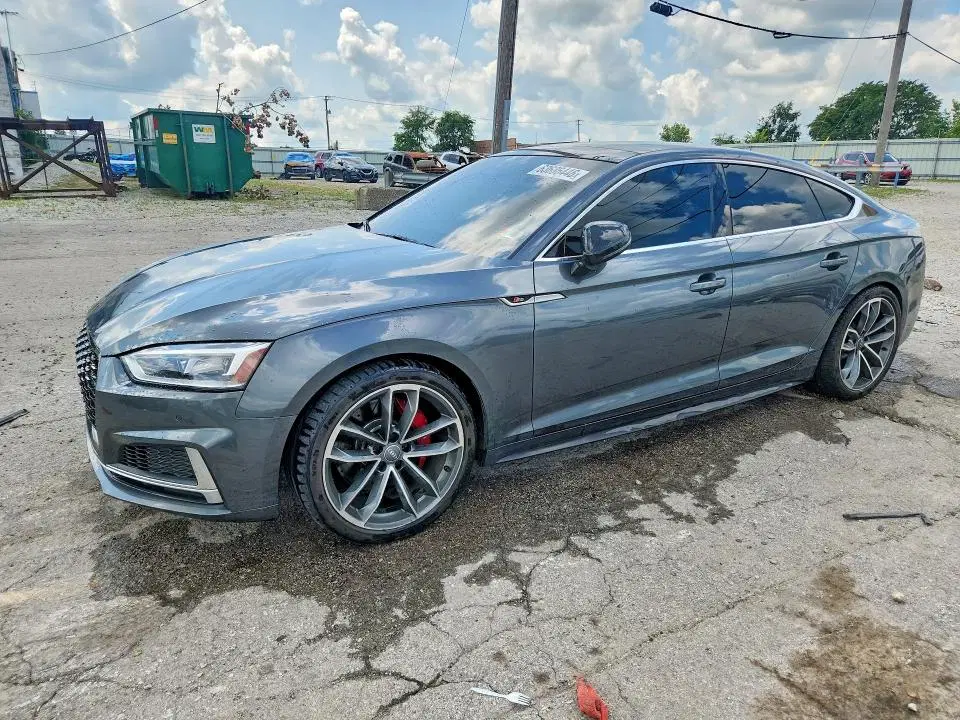 WAUB4CF52KA041046 — 2019 Audi S5, подтопление, фото до ремонта