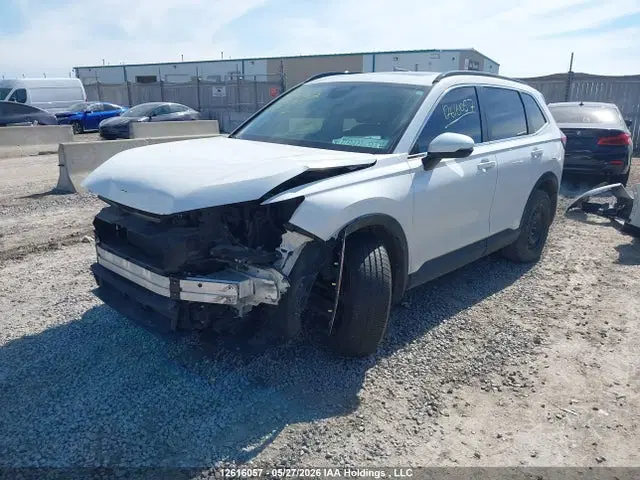 2024 Honda Cr-v Sport VIN 2HKRS4H57RH117616 фото 2