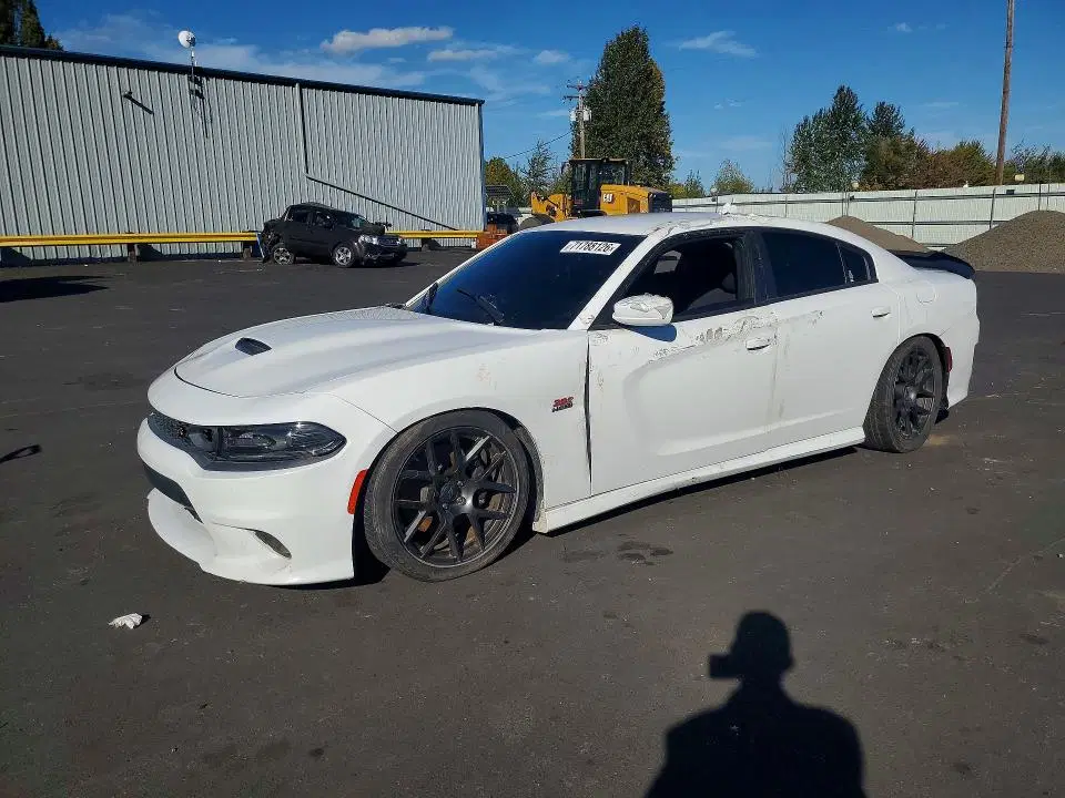 2C3CDXGJ9KH506874 — 2019 Dodge Charger, Задняя часть, фото до ремонта