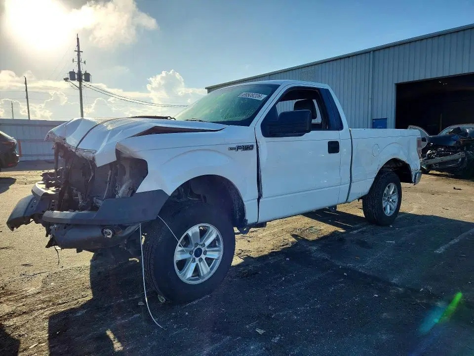 1FTMF1CM7DFB16562 — 2013 Ford F150, Передняя часть (Front End), фото до ремонта