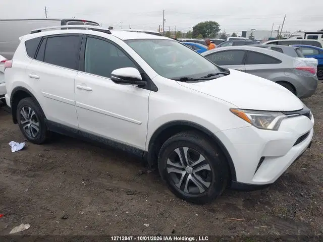 2T3BFREVXGW463124 — 2016 Toyota RAV4 LE, Град (Hail), фото до ремонта