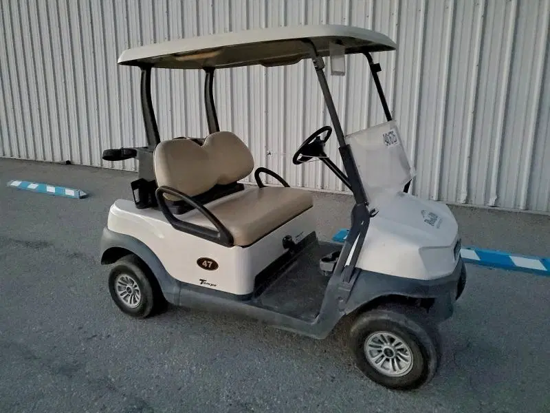BN2230308407 — 2022 Club Car Tempo Fla, Мелкие вмятины и царапины (Minor Dent/Scratches), фото до ремонта