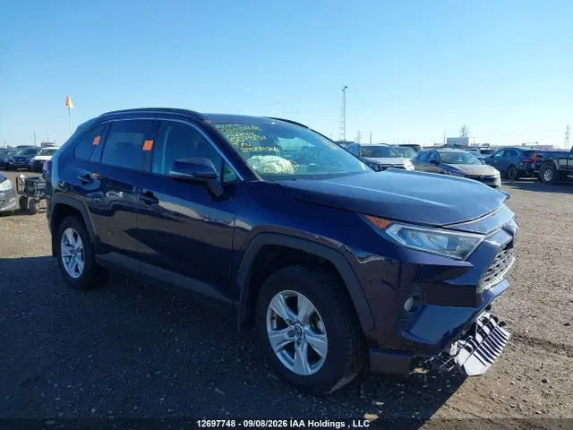 2T3R1RFV7KW073134 — 2019 Toyota RAV4 XLE, Bio Hazard, фото до ремонта