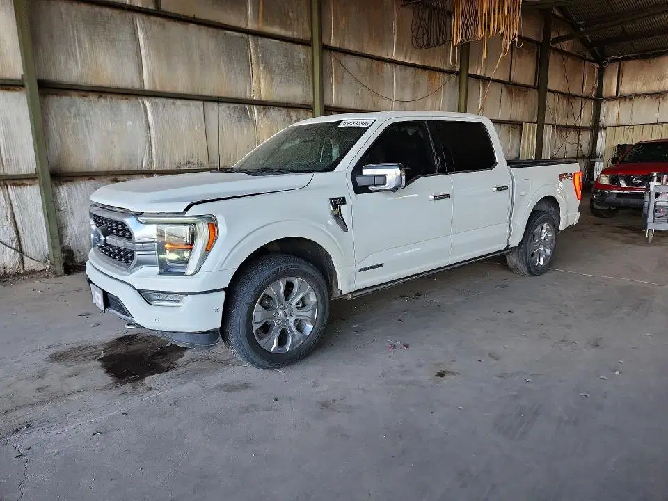 1FTFW1ED6NFB75819 — 2022 Ford F150, боковая часть, фото до ремонта