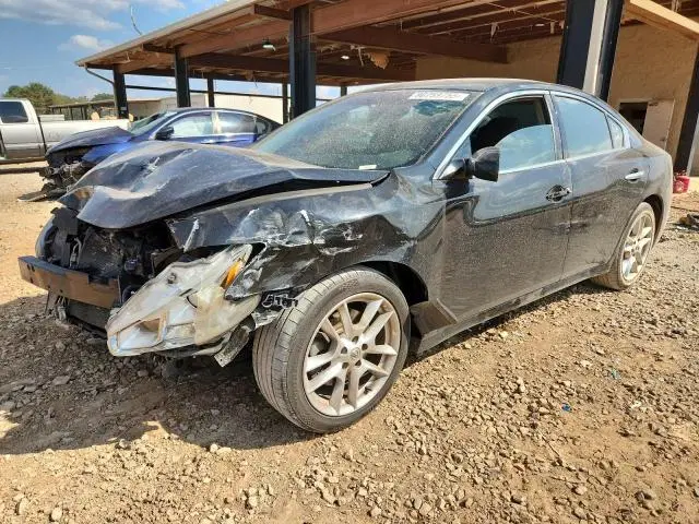 2013 NISSAN MAXIMA VIN 1N4AA5AP6DC807790 фото 2